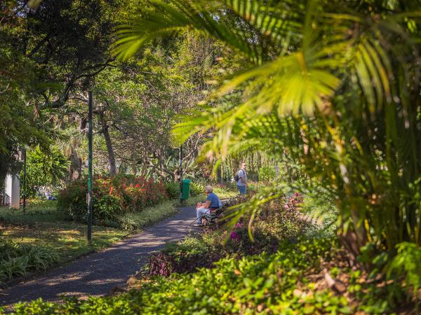 Madeira levada trails & waterfalls adventure vacation