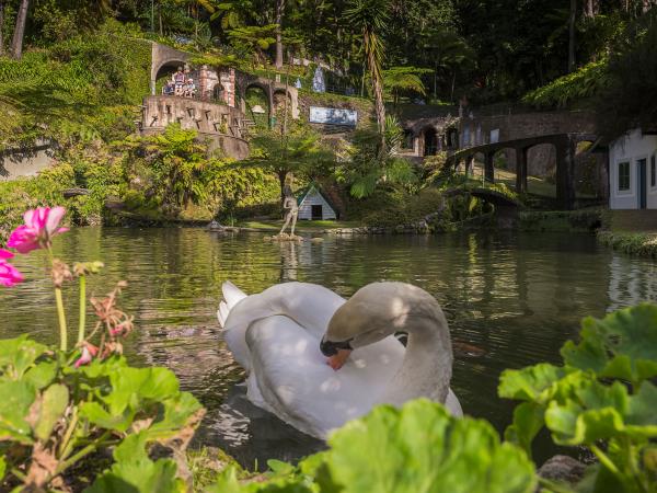 Madeira levada trails & waterfalls adventure vacation