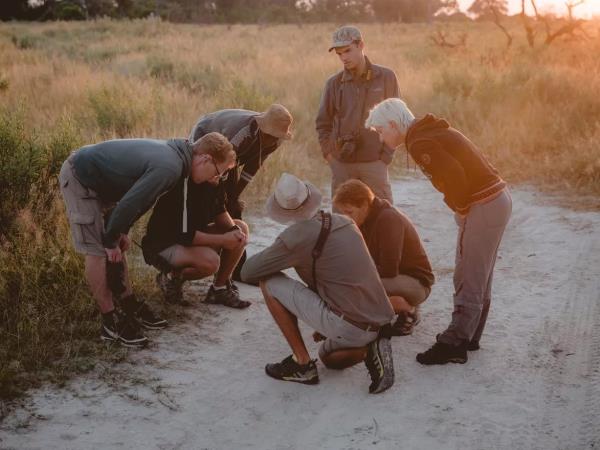 Basic Field Guide Course, Botswana