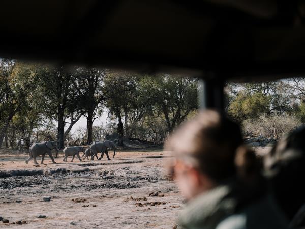 Basic Field Guide Course, Botswana