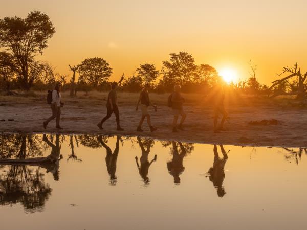 Okavango Delta exclusive group vacation