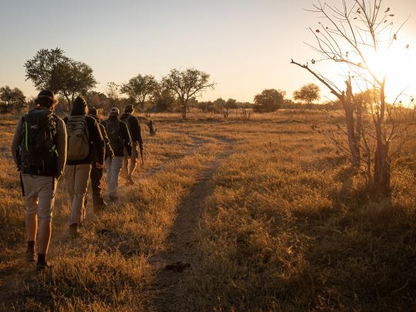 Okavango Delta exclusive group vacation