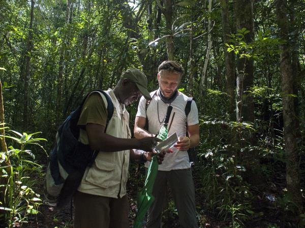 Masoala Peninsula wildlife vacation, Madagascar