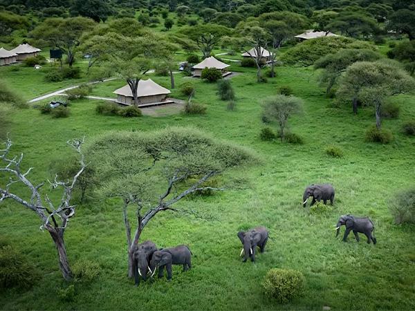 Nyerere NP & Mafia Island vacation in Tanzania