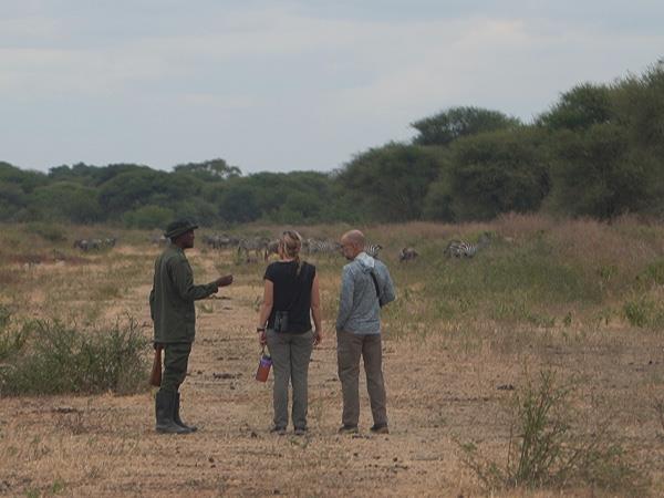 Women only safari in Tanzania