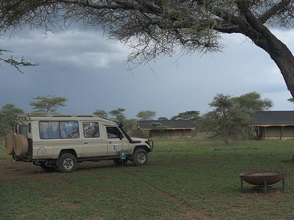 Women only safari in Tanzania