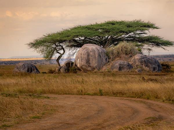 Tanzania culture and community vacation for families
