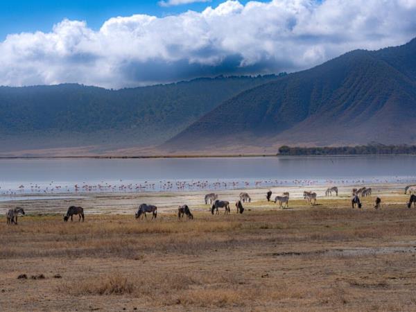 Tanzania culture and community vacation for families