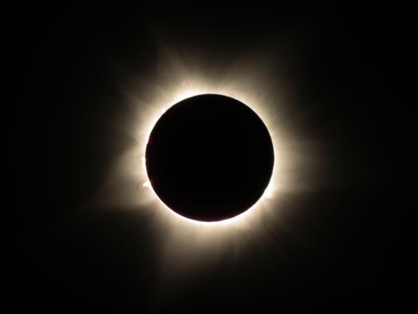Egypt solar eclipse 2027 tour