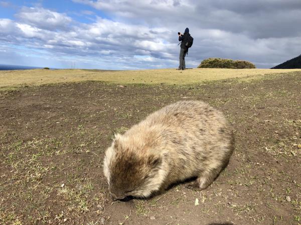 Tasmania walking vacation, self guided