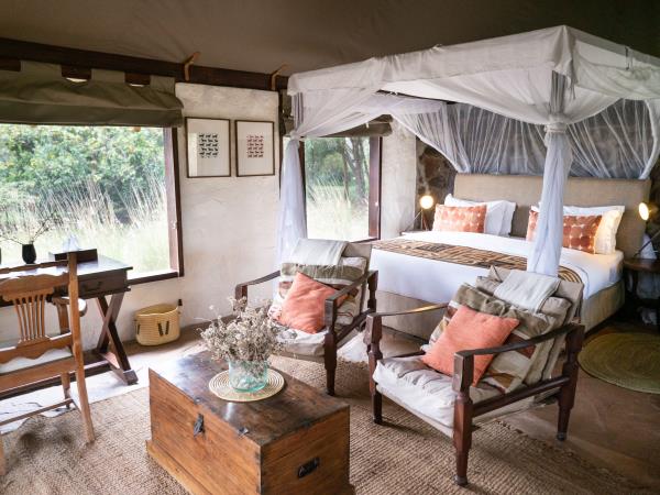 Kenya luxury safari vacation, 10 days