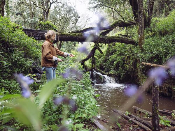 Kenya luxury safari vacation, 10 days