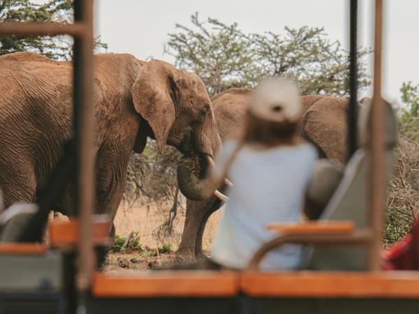 Kenya luxury safari vacation, 10 days