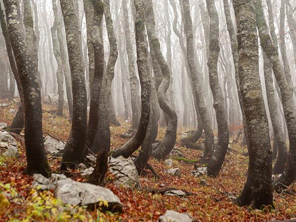 North To south Velebit trek in Croatia