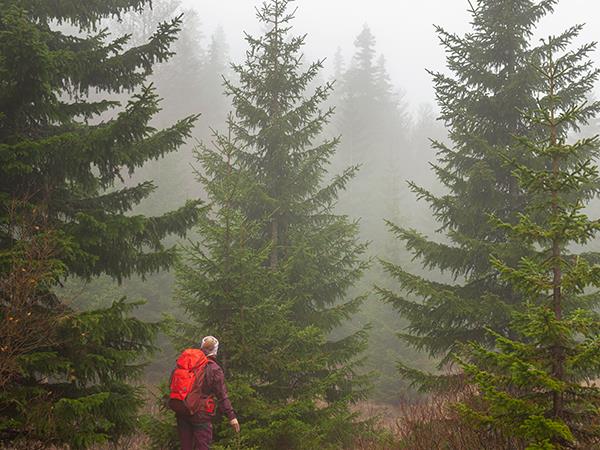 North To south Velebit trek in Croatia