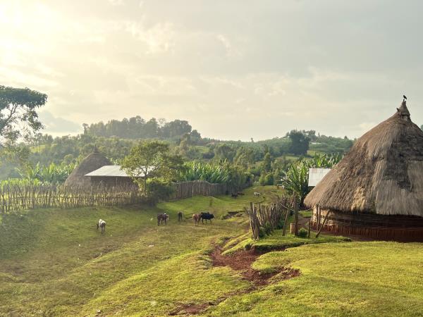 Gurage homestay and trekking vacation, Ethiopia