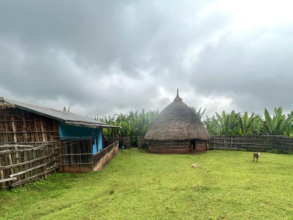Gurage homestay and trekking vacation, Ethiopia