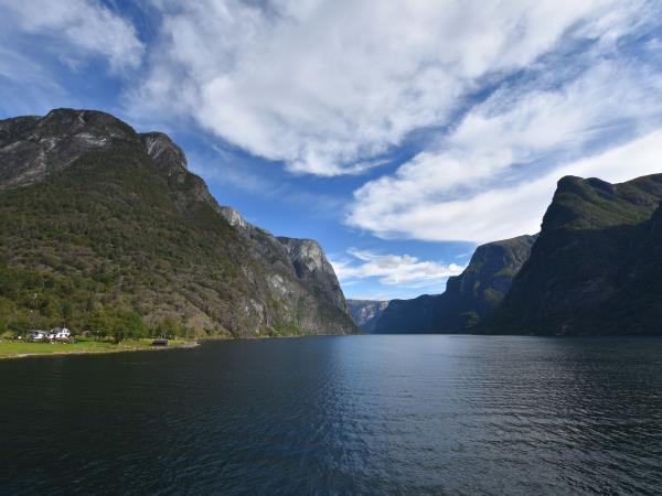 Norway by railway and boat vacation