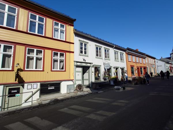 Norway by railway and boat vacation