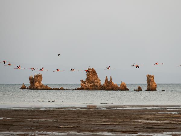 Djibouti express adventure tour