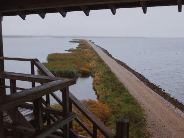 Latvia electric self drive vacation