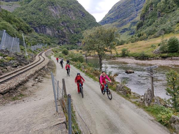 Scenic Norway vacation by public transport