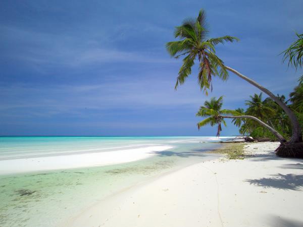 Maldives marine conservation cruising vacation