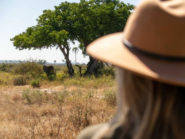 Northern Ruaha National Park vacation, Tanzania