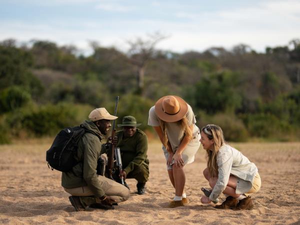 Northern Ruaha National Park vacation, Tanzania