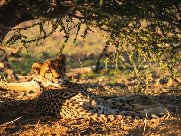 Field Guide Level 1 Course, South Africa