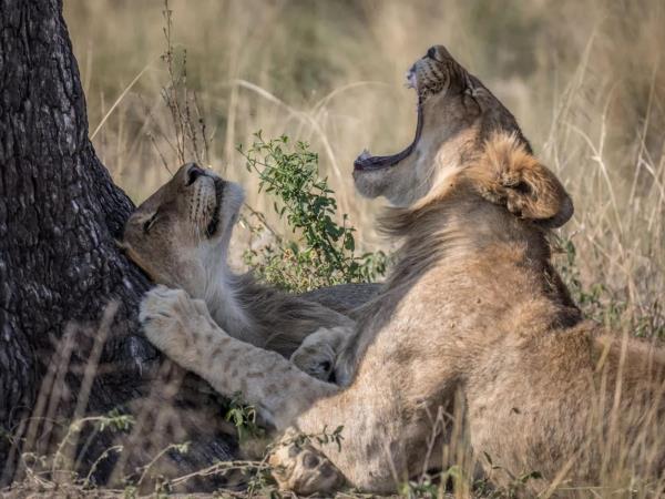 Field Guide Level 1 Course, South Africa