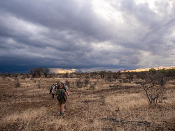 Field Guide Level 1 Course, South Africa