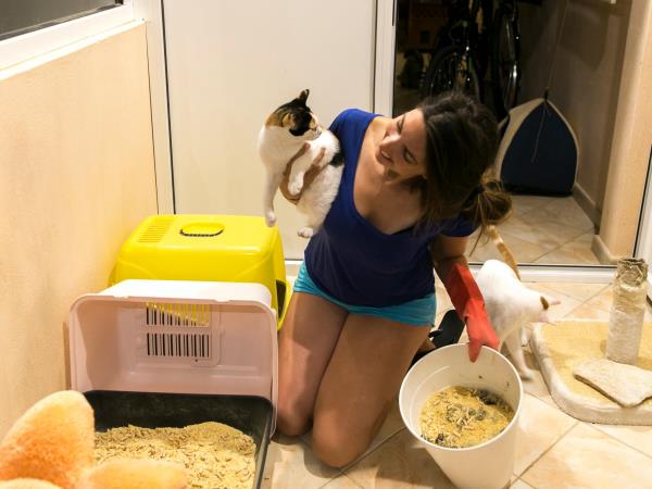 Animal welfare volunteering vacation in Greece