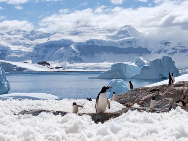Classic Antarctic Peninsula small ship cruise