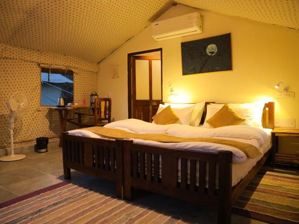 Tiger safari small group tour in India 