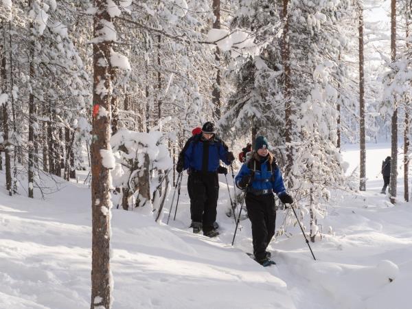 Finland activity vacation and Northern Lights