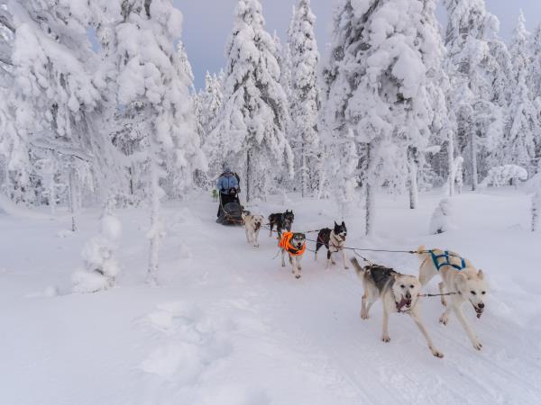 Finland activity vacation and Northern Lights