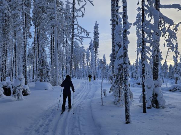 Finland activity vacation and Northern Lights
