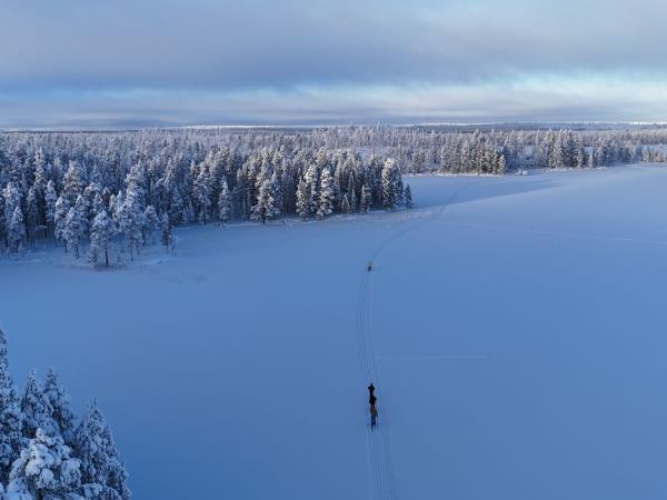 Cross-country skiing vacation in Finland's eastern wilderness