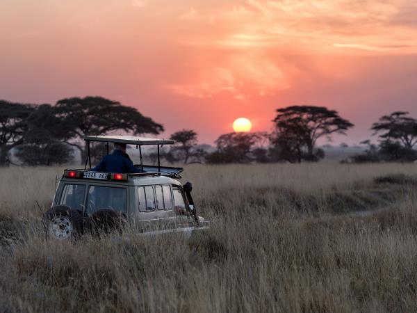 Tanzania safari and Zanzibar beach vacation