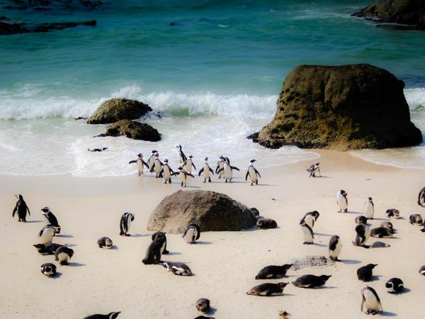 Classic South Africa self drive vacation