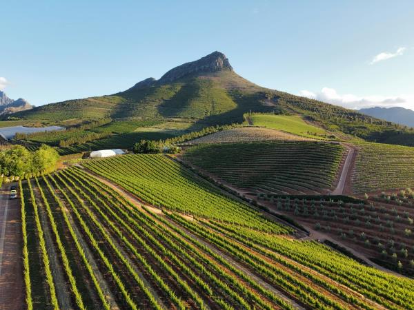 Classic South Africa self drive vacation