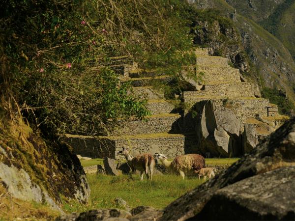 Tailor made vacation in Peru