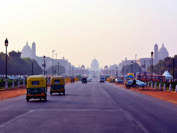 Tiger safari and Golden Triangle tour in India 