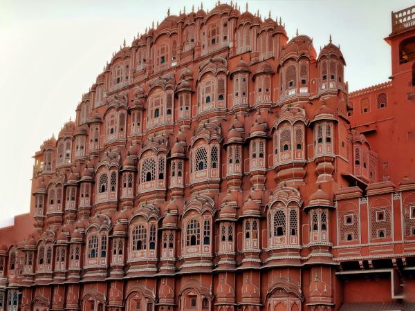 Tiger safari and Golden Triangle tour in India 