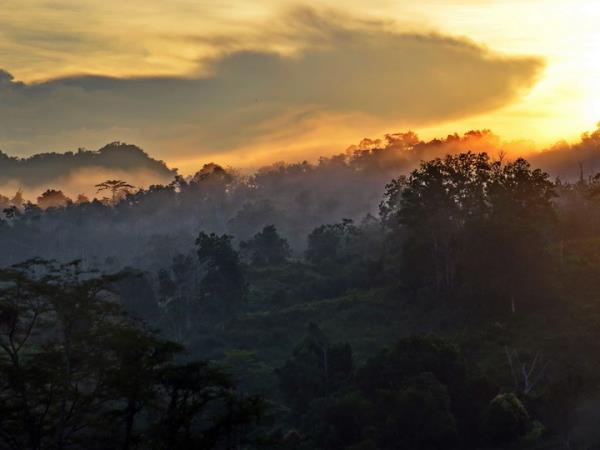 Borneo 12 day family tour