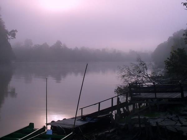 Borneo 12 day family tour