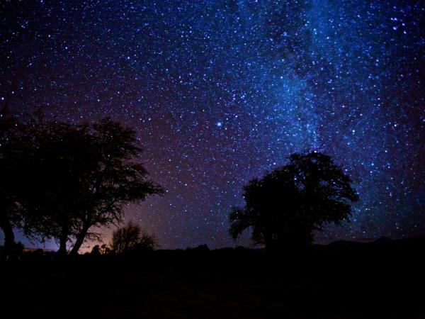 Chile luxury 2 week vacation, tailor made