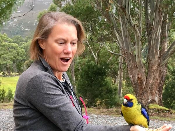 Tasmania bird watching vacation, Australia