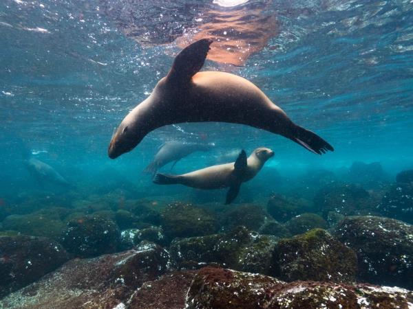 Galapagos multi activity tour, land based